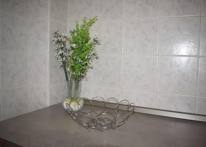 Joy House - Vaticano * Roma